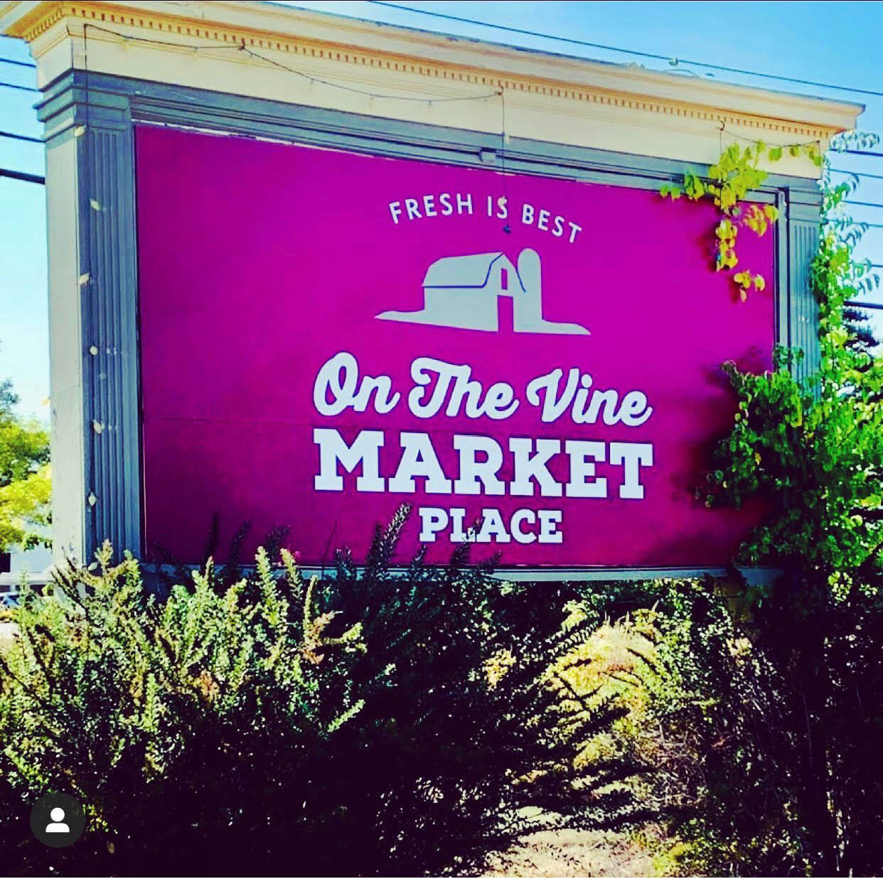 on_the-vine-market