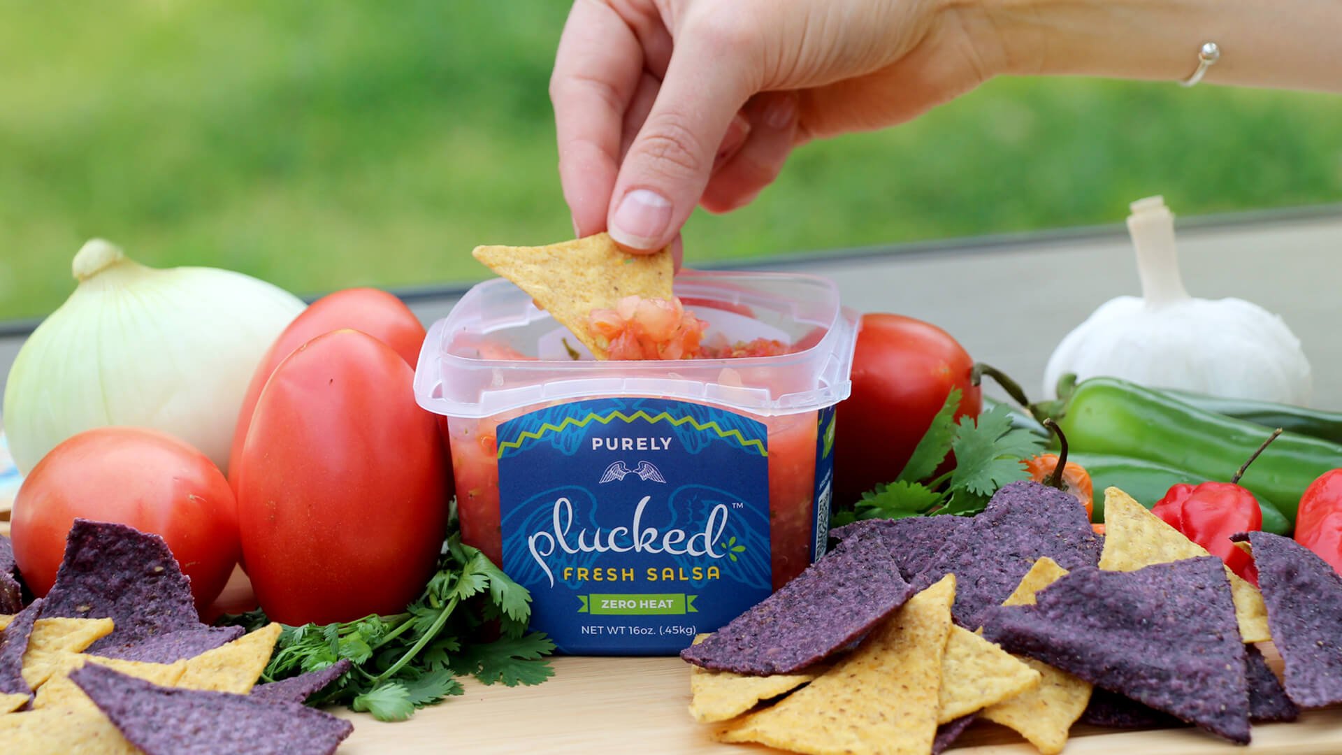 Purely Fresh Plucked Salsa with Fresh Vegetables