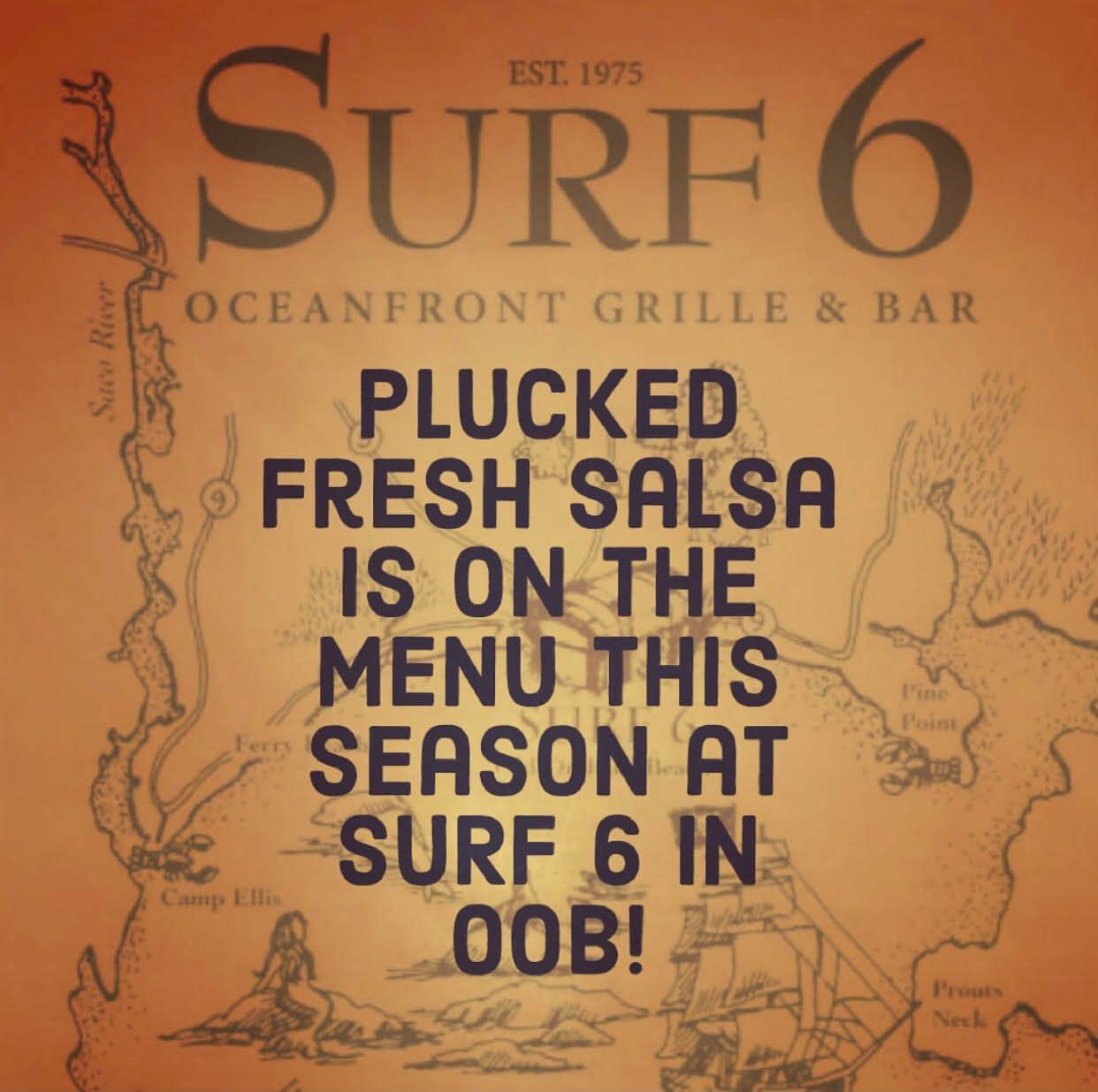 surf6-restaurant